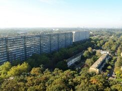 vogelvlucht